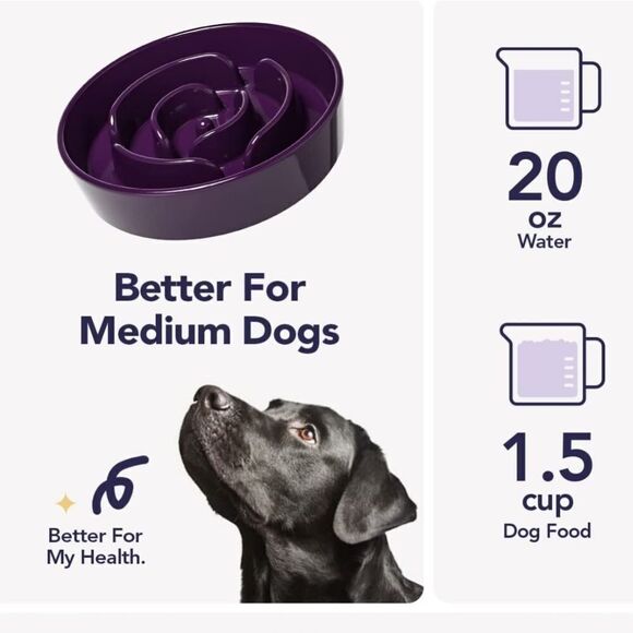 NIB LE TAUCI Dog Slow Feeder Ceramic, 1.5 Cups Slow Eater Bowl for Dogs - Picture 6 of 9